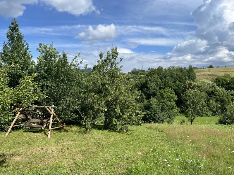 widok na góry, lasy, huśtawkę dla dzieci