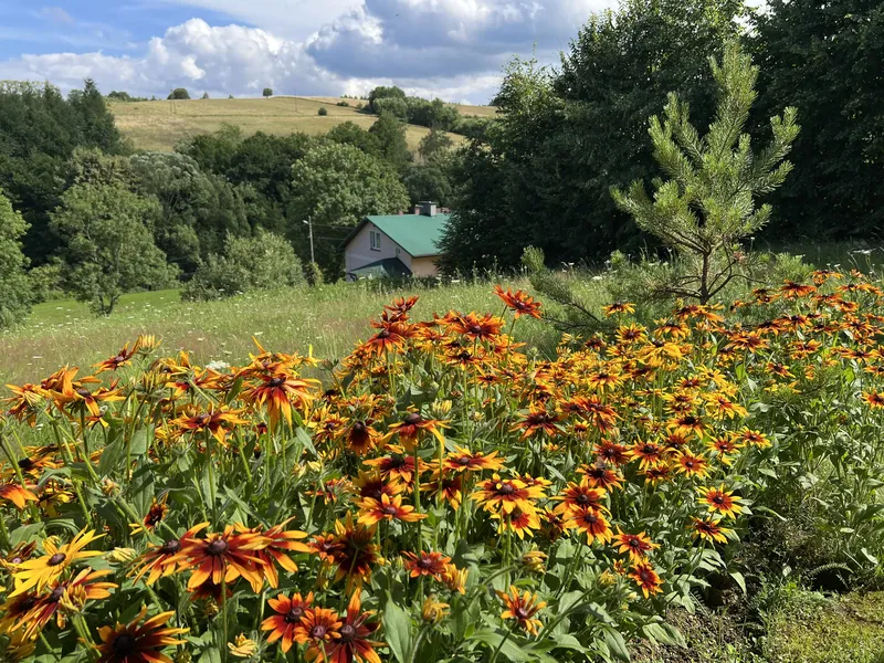 ogród z kwiatami i widokiem na Bieszczady