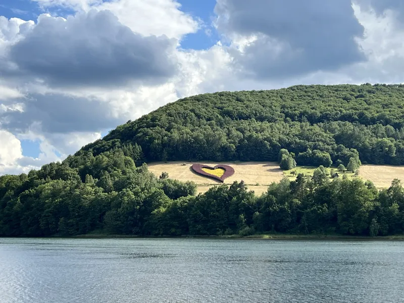 Awidok na Bieszczadzkie serce z kwiatów nad Soliną