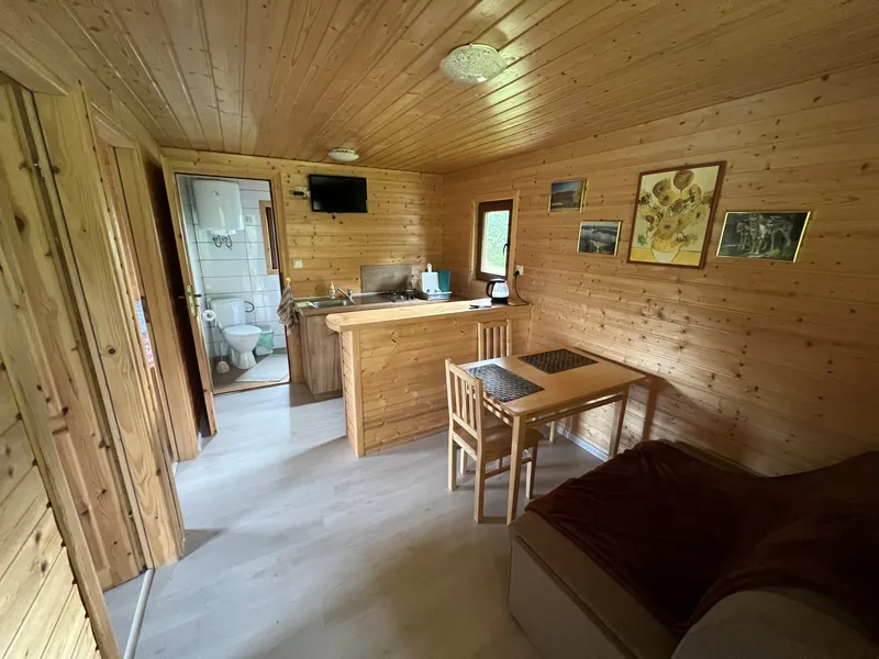 przytulny salon z telewizorem i rozkładaną kanapą